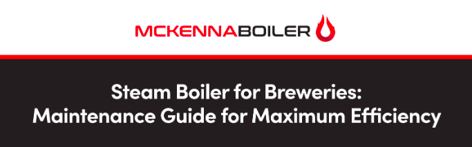 Steam Boiler for Breweries Maintenance Guide for Maximum Efficiency